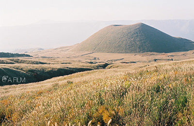 ฟิล์ม 4  ม้วนป่วนเจแปน