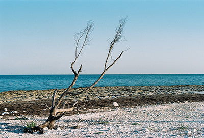 ไปเยือนซักครา เมกากับกล้องฟิล์ม-ตอนที่ 2