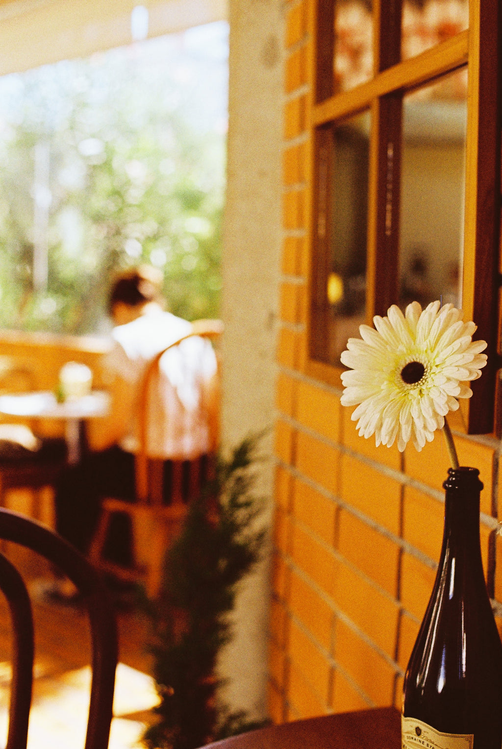 KODAK GOLD 200 EASTMAN