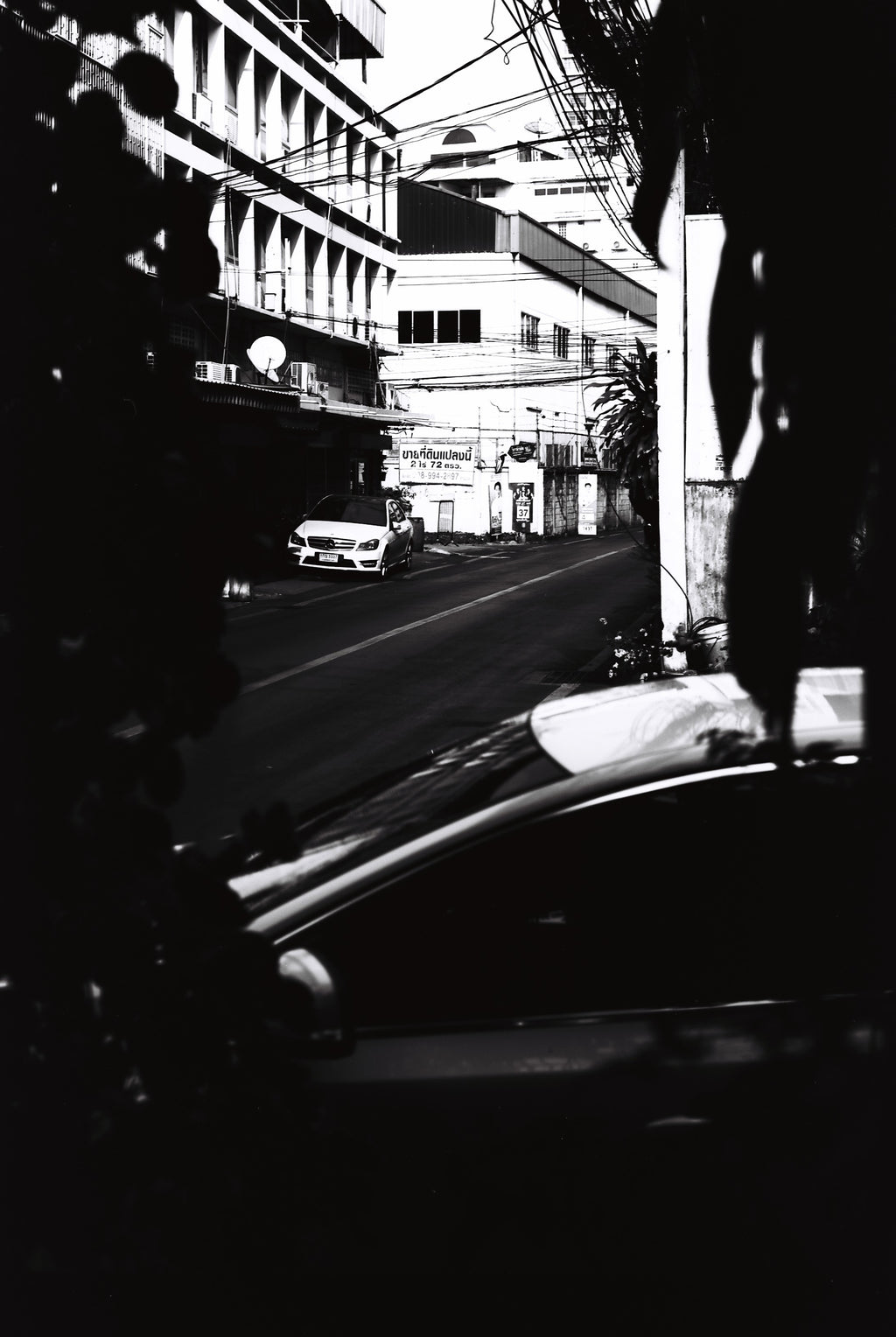 NiL : LUCKY SHD 50