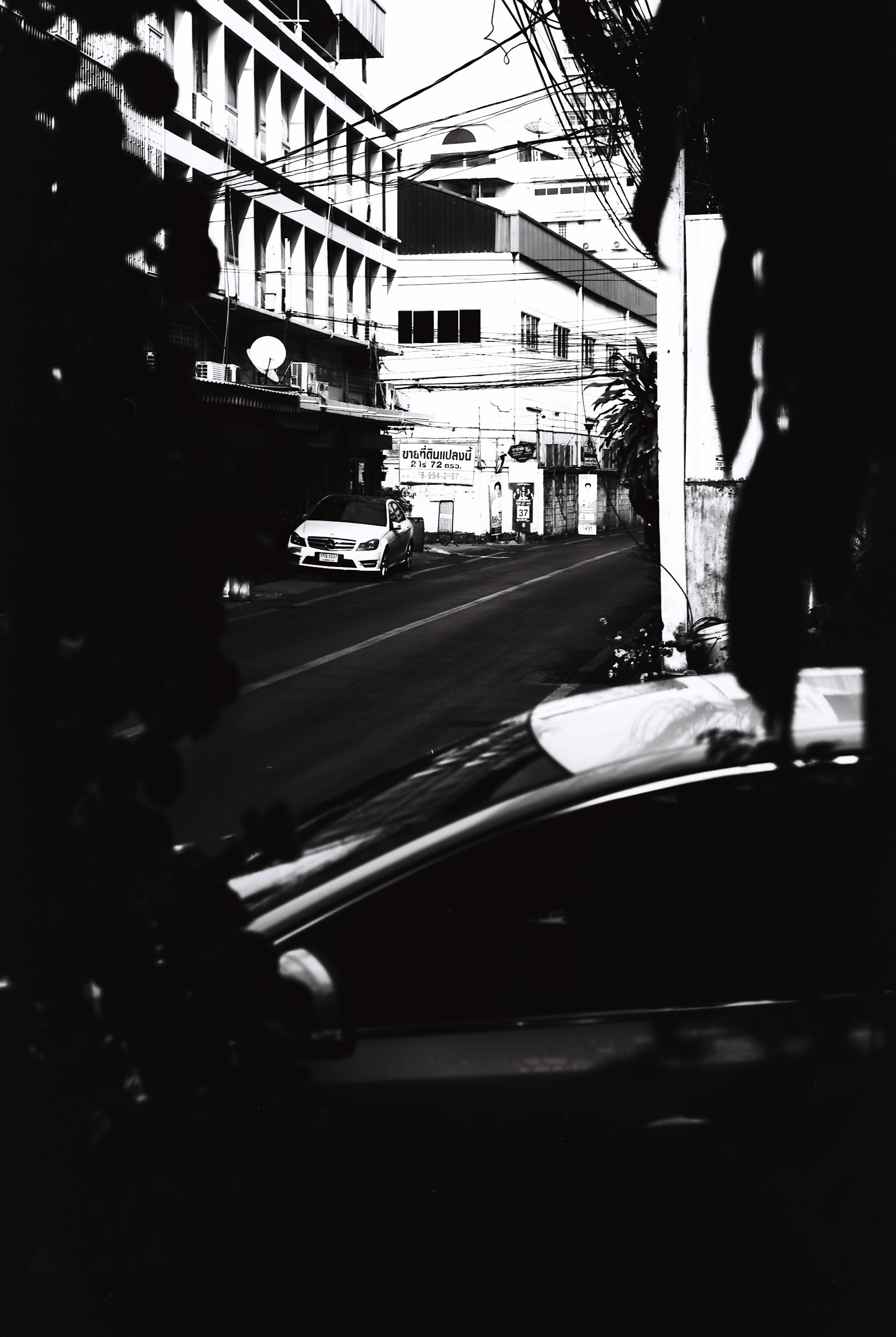 NiL : LUCKY SHD 50