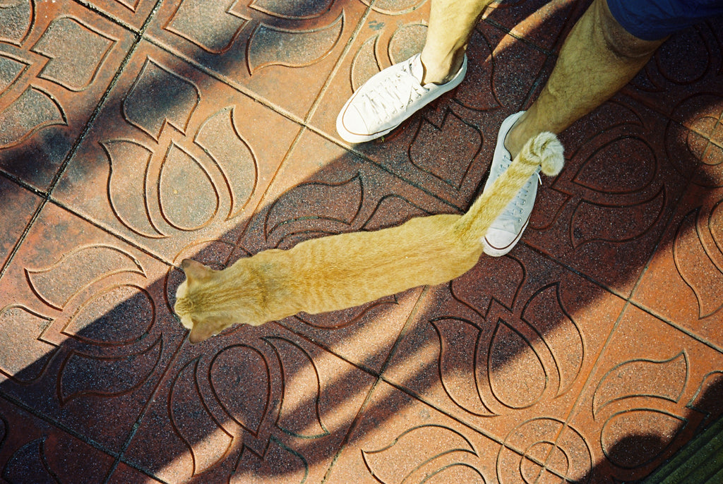 ROSFILM 500T/5219 AHU